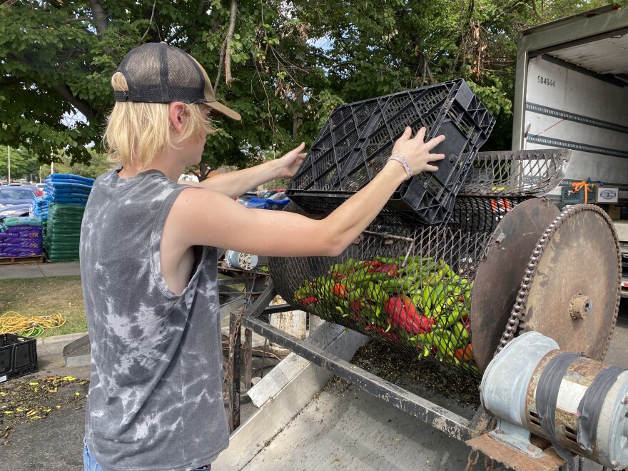 CADEN from Miller Farm inserts a band of pepper to the mortar in a plaile farm market. The demand for the grown colorado food - are good corn, peaches and other chicken peaks during summer.