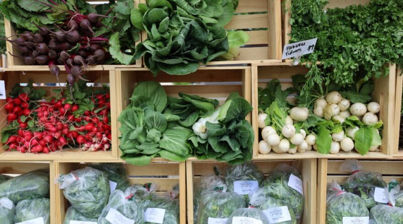 Several vegetables in brackets, including lettuce, ems, bettuce and book.